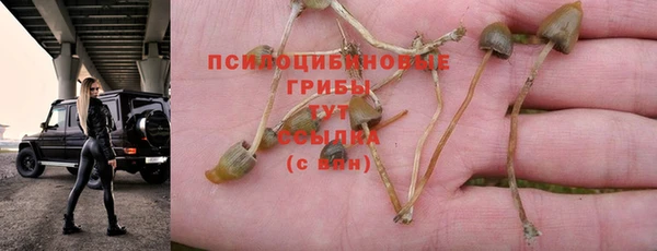 дурь Баксан
