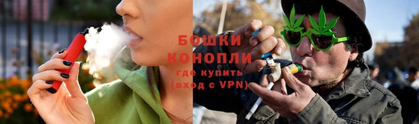 индика Балабаново