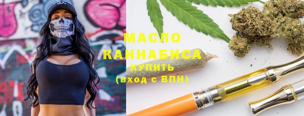 индика Балабаново