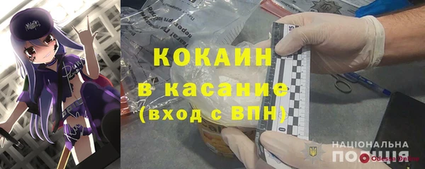 индика Балабаново