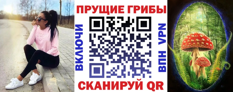 Псилоцибиновые грибы прущие грибы  MEGA маркетплейс  дарк нет Telegram  Краснокаменск 