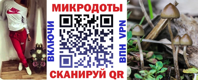 Псилоцибиновые грибы Psilocybine cubensis Краснокаменск